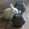 bunny_diaries_