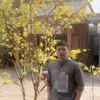 thien_luu