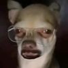 lemooster