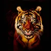 blnd_shahin