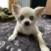 user3jnrx68g21