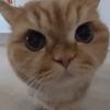 jiminebby