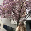 debby_adrastee