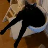 valhallahhhv