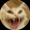 1i_e9