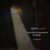 mehwish_s_khalid23