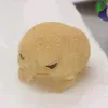 vzzzzzzzx