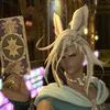 noah_noctii