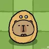 icomback_123haha