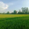 dieuhuongzz