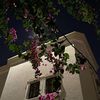 _malha26