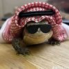 badarzaidan