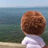 sho_129_sa