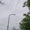 sunshines_44