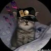cj_chamnan1234