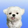 jeffrey_mcjefferson_