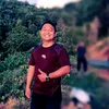 nopallbatee