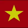 vietnammaidinh49