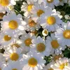 user6186426682564