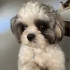 rkivesbea