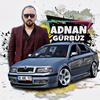 adnan_gurbuz4638