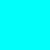 liorenexttdoor