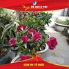 user03122745