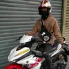 gingan15