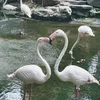 tnhiee_2604