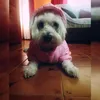 gabriva09