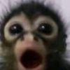 uhaha.ch