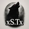 xs.t.x