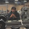 brown_hercules_
