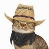 jackolampton