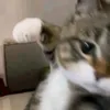 namelessgenre