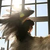 witchvaleri