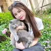 Hông Tham Hồng Thắm