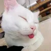 tinh_k_ka
