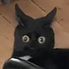 jskdhndjd