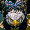 waleed__khan33