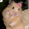gatrixx_0