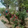 nguyenthien089