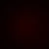 narek.hk