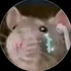 stuartiliru