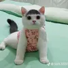 hienoiiiii