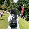oliv_0904