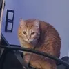 lerusekk0