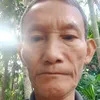 baithuocdangianvietnam