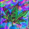 rpcbudd