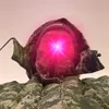 zhvn.1